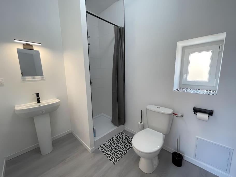 Studio B2 20M2 Cosy 5Min A Pied Des Gares Roanne Extérieur photo
